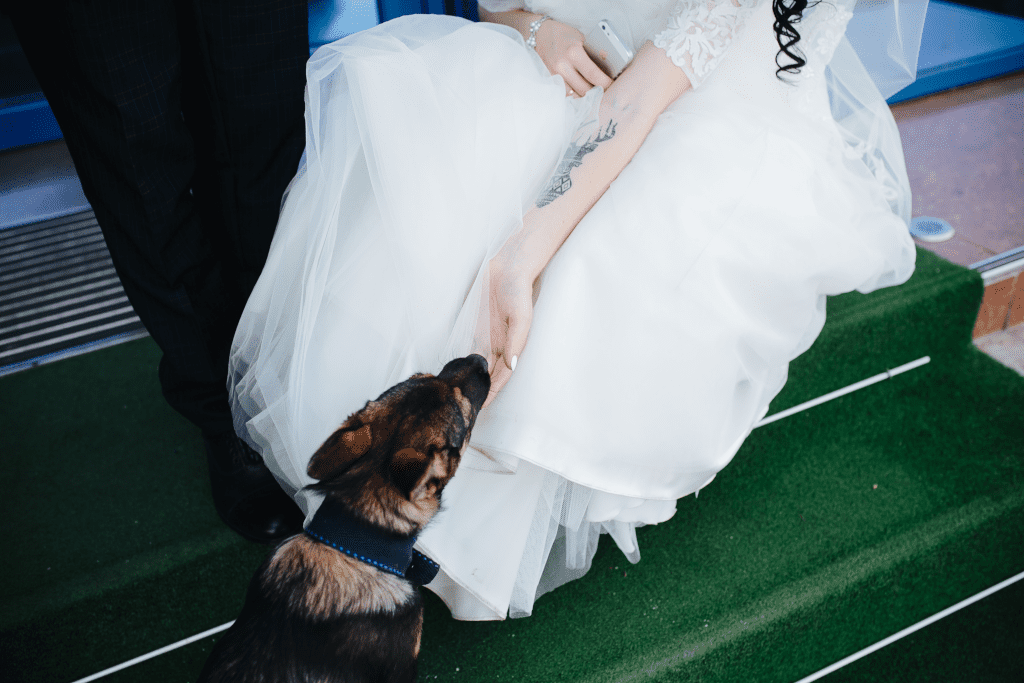 Including dog in your wedding
